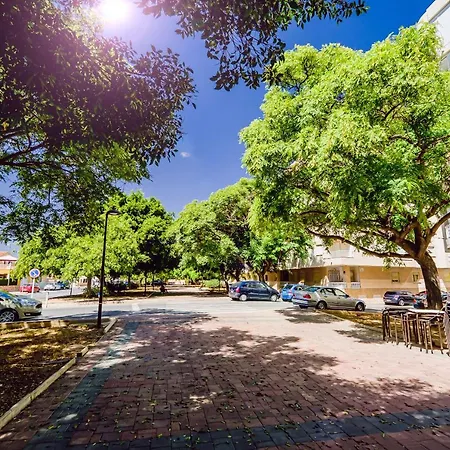 Διαμέρισμα Penthouse San Miguel 5-7 Τορεβιέχα